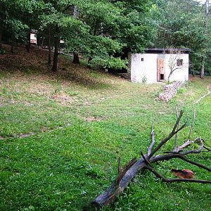 Maned Wolf Paddock at Decin, 28/08/12