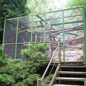 Macaw Aviary at Decin, 28/08/12