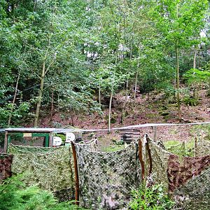Raccoon/Coypu Exhibit at Decin, 28/08/12