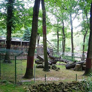 Macaque Exhibit at Decin, 28/08/12