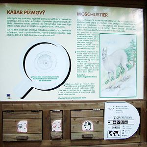 Signage Example at Decin, 28/08/12