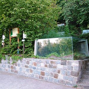 Reptiliaries at Decin, 28/08/12