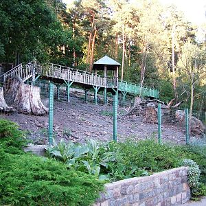 Wild Boar Exhibit at Decin, 28/08/12