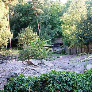 Vicuna Exhibit at Decin, 28/08/12