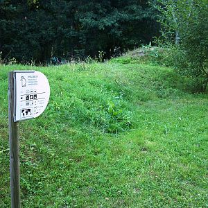 Souslik 'Exhibit' at Decin, 28/08/12