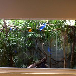 Clouded Forest Exhibit 10-12-12