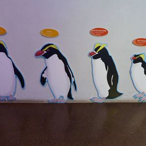 Penguins