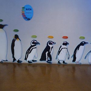 Penguins