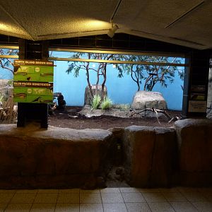 Kiwi Exhibit (on left)