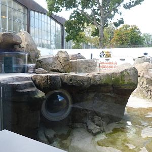 Under Construction: Penguin Point 10-12-12