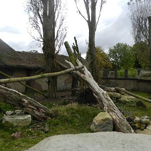 Coati Exhibit at Flamingo Land - 14/10/2012