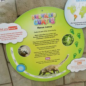 Coati Sign at Flamingo Land - 14/10/2012
