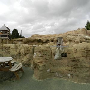 Meerkat Exhibit at Flamingo Land - 14/10/2012