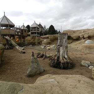 Meerkat Exhibit at Flamingo Land - 14/10/2012