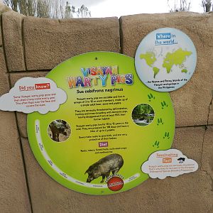 Visayan Warty Pig Sign at Flamingo Land - 14/10/2012