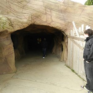 Meerkat Indoor Viewing at Flamingo Land - 14/10/2012