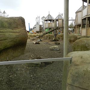 Meerkat Exhibit at Flamingo Land - 14/10/2012