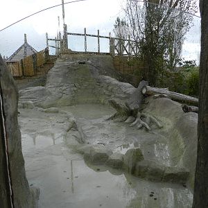 Otter Exhibit at Flamingo Land - 14/10/2012