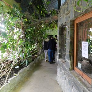 Reptile House Interior at Flamingo Land - 14/10/2012