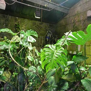 Reptile House Interior at Flamingo Land - 14/10/2012