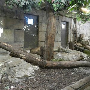 Burmese Rock Python Exhibit at Flamingo Land - 14/10/2012