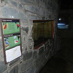 Poison Dart Frog Tank at Flamingo Land - 14/10/2012