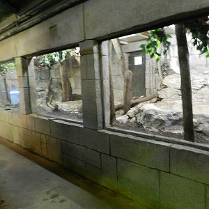 Burmese Rock Python Exhibit at Flamingo Land - 14/10/2012