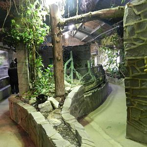 Reptile House Interior at Flamingo Land - 14/10/2012