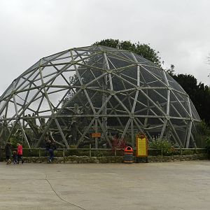 Parrotspere at Flamingo Land - 14/10/2012