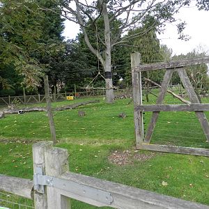 Lemur Enclosure at Flamingo Land - 14/10/2012