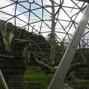 Parrotspere at Flamingo Land - 14/10/2012