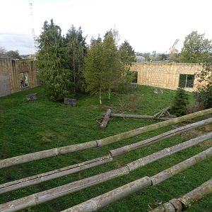 Sumatran Tiger Exhibit at Flamingo Land - 14/10/2012