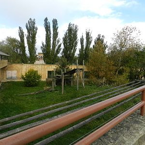 Sumatran Tiger Exhibit at Flamingo Land - 14/10/2012