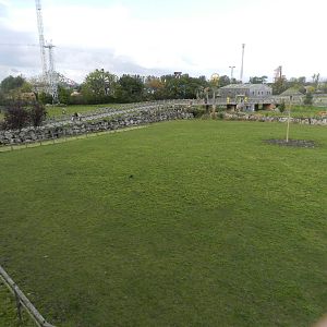 Lost Kingdom at Flamingo Land - 14/10/2012