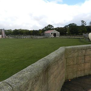 Lost Kingdom at Flamingo Land - 14/10/2012