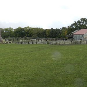 Giraffe House and Hippo Lake at Flamingo Land - 14/10/2012
