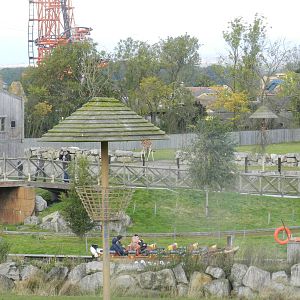 Giraffe Enclosure at Flamingo Land - 14/10/2012