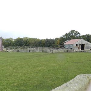 Lost Kingdom at Flamingo Land - 14/10/2012