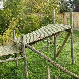 Sumatran Tiger Exhibit at Flamingo Land - 14/10/2012