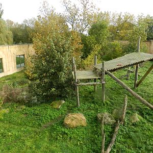 Sumatran Tiger Exhibit at Flamingo Land - 14/10/2012