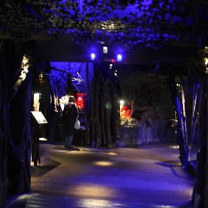 Nocturnal House, Bristol Zoo