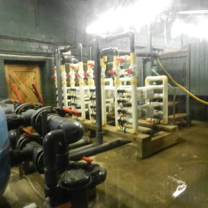 Behind the Scenes of the Aquarium at Flamingo Land - 14/10/2012