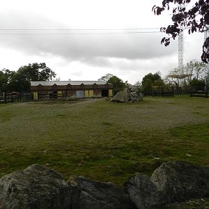 Rhino Paddock at Flamingo Land - 14/10/2012