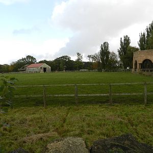 Giraffe Paddock at Flamingo Land - 14/10/2012
