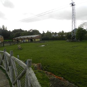 Rhino paddock at Flamingo Land - 14/10/2012