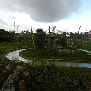 Lost Kingdom Aviary at Flamingo Land - 14/10/2012