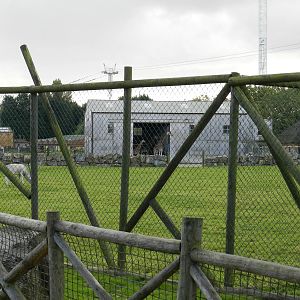 Giraffe Paddock at Flamingo Land - 14/10/2012