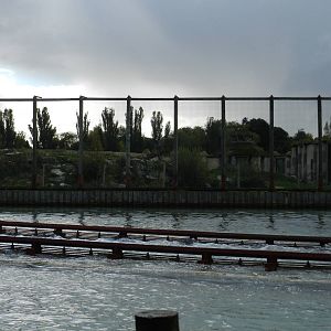 Lion Exhibit at Flamingo Land - 14/10/2012