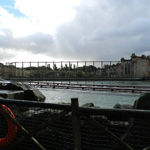 Lion Exhibit at Flamingo Land - 14/10/2012