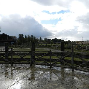 Hippopotamus Exhibit at Flamingo Land - 14/10/2012